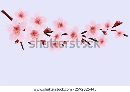 Vector branch with spring flowers. Realistic fruit tree branch. Detailed hand drawn clip art element isolated on white background for your design, postcards, advertising, social media posts, textile