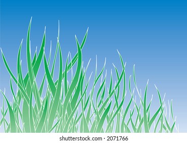 Vector green grass, blue sky as a background