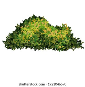 Vector Green Nature Shrubs Plant