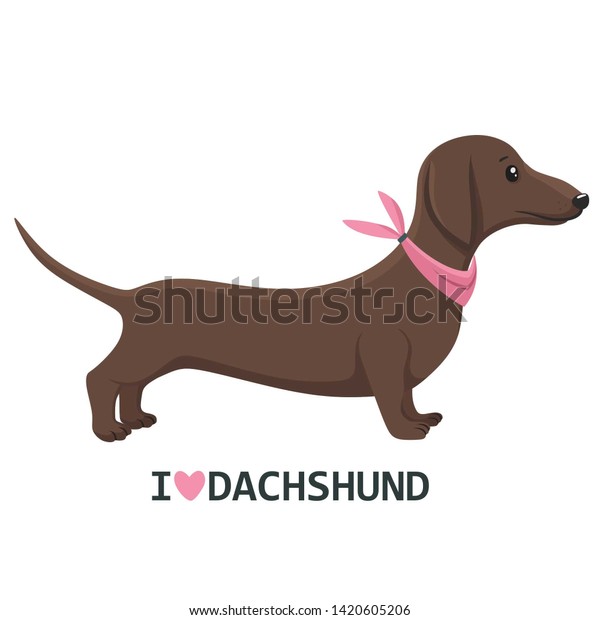 Vector Icon Animal Dog Dachshund Character Stock Illustration