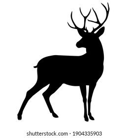 vector Icon deer. Illustration deer animal silhouette with horn