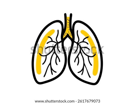 Vector Illustration of Human Lungs Highlighting Airway Passages