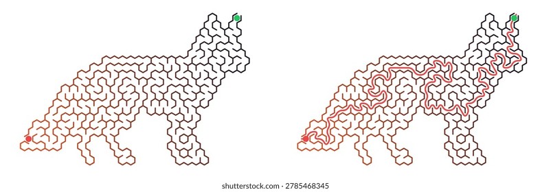 A vector illustration of two hexagonal mazes shaped like a wolf, displayed on a transparent grid background. The left maze is unsolved, featuring a red starting dot at the nose and a green finishing dot at the ear, with maze lines in a gradient from orange to dark blue. The right maze shows the completed puzzle, with a red line indicating the correct route through the labyrinth. The image illustrates themes of logic, strategy, and problem-solving.