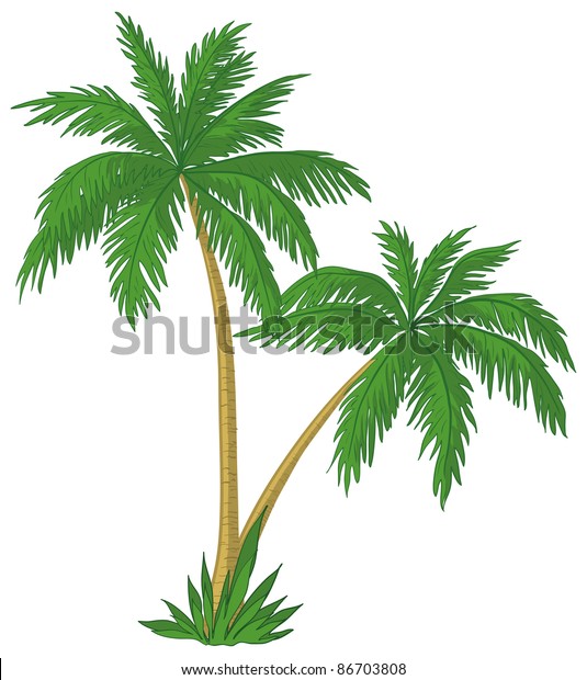 Vector Palm Trees Green Leaves On Stock Illustration 86703808