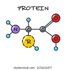 Vector Science Icon Protein Molecule. Stock Illustration Protein Structure Molecule Clipart