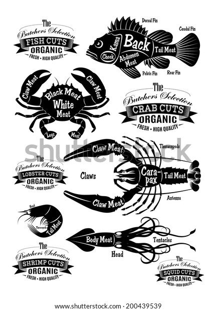 vector set of\
diagram cut carcasses\
seafood