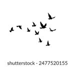Vector silhouette of a flock of birds, pigeons in flight isolated on a white background. Many birds flying in the sky, sea gull background, black birds silhouette flying, marine sky with a flock birds
