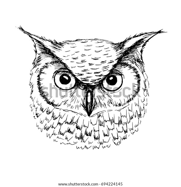 Vector Sketch Owl Head Ballpoint Pen Stock Illustration 694224145 ...