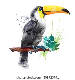 Vector Watercolor Toucan 