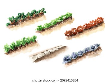 Vegetable Beds Set. Spring Work In The Garden. Hand Drawn Watercolor Illustration Isolated On White Background