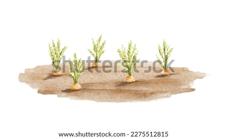 Vegetable cartoon garden with carrots isolated on white background. Watercolor hand drawn illustration sketch