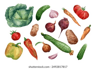 Vegetables collection. Watercolor illustration of cucumber, tomato, potato, onion, carrot, beetroot,garlic,  cabbage, paprika, zucchini - Powered by Shutterstock