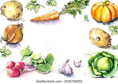 Vegitables Frame.  Green Watercolor Illustration On A White Background. Colorful Vegitables: Carrot, Parsley, Radish, Potato, Onion, Pumpkin, Garlic, Cabbage