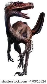 velociraptor 3D illustration