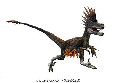 Velociraptor 3D render on isolated white background.