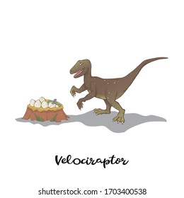 Velociraptor With Nest Dinosaur Eggs Isolated On A White Background. Wild Hunter Predator