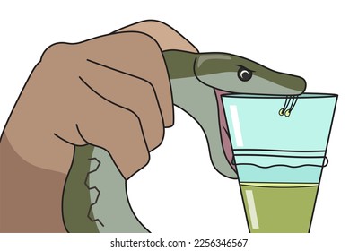 Extracción de veneno de una serpiente. Ilustración del proceso de extracción de Venom. 