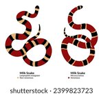 Venomous Eastern Coral Snake vs Non-Venomous Eastern Milk Snake,  red, black, and yellow scales patterns. Red on yellow, kill a fellow, red on black, venom lack.