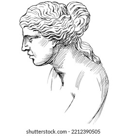 Venus, The Ancient Greek Goddess Of Love, Line Art Sketch Illustration Of Classic Greek Sculpture Isolated On White	
