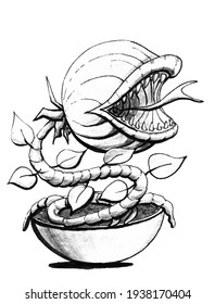 Venus flytrap  black   white linear art  Freehand drawing 