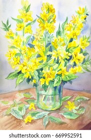 Verbena In Watercolor. Yellow Bouquet In A Transparent Jar