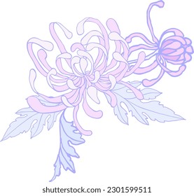 Versatile bouquet of isolated elements (buds, chrysanthemum leaves) on a white background. Abstract digital illustration perfect for branding, posters, cards, DIY