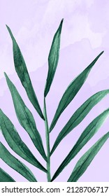 Vertical Background Palm Tree Branch Watercolor. Template For Decorating Designs And Illustrations.