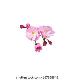Very High Quality Original Trendy  Illustration Of Japanese Plum Blossom Or Red Cherry Flower