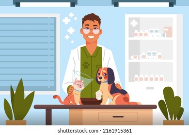 Vet examine. Cartoon veterinary doctor in clinic heals cute cats and dogs, hospital for domestic animals, consulting office interior. Scene puppy and kitten healthcare  flat illustration