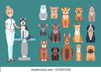 Veterinarian doctor checking up pet dog sitting on table raster. Clinic and care, animals treatment and curing of diseases, mammal checkup by nurse - Powered by Shutterstock