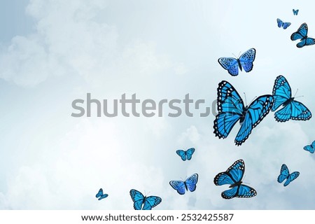 Vibrant blue butterflies flutter in a cloudy sky. Blue butterflies in flight, creating a serene scene. Blue butterflies background.Dreamy blue butterfly background.