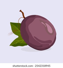 A vibrant purple plum illustration featuring a single plum with green leaves. This purple plum design showcases the fruit's rich color and natural beauty, perfect for food-related projects. - Powered by Shutterstock