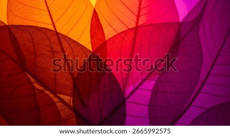 Vibrant translucent leaves macro banner in warm orange red magenta purple gradient. Abstract nature background for design, poster, flyer, web header, advertising, wallpaper