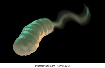 Vibrio Cholerae Bacterium