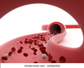 View of a blood vessel sliced open through its wall showing the movement and flow of the blood cells and erythrocytes carrying oxygen to the tissues, part of the circulatory and cardiovascular systems