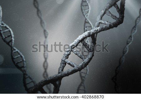 View of dna