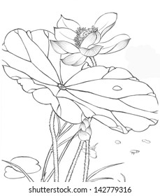 Lotus Line Drawing Images, Stock Photos & Vectors | Shutterstock