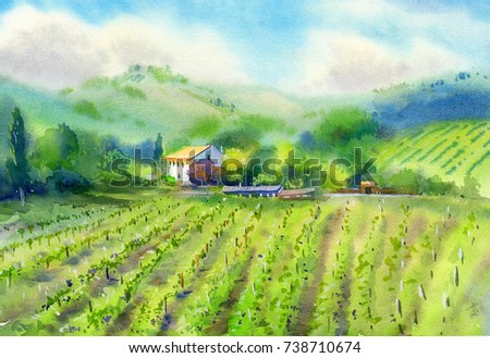 Vineyard landscape art. White villa, buildings and grape plantation. Green colors. Watercolor painting.