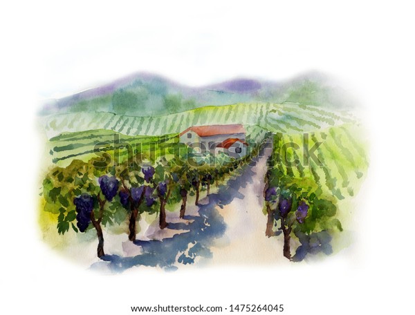 Vineyards Handpainted Watercolor Landscape Vineyards Mountains Stock ...