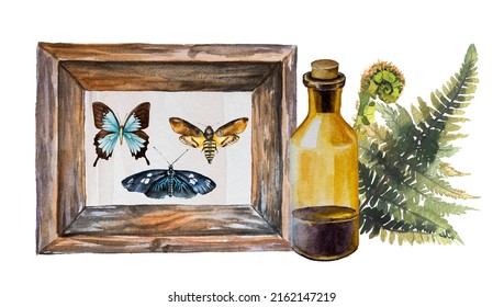 Vintage Apothecary Bottle, Fern And Old Butterfly Display Design. Antique Sublimation Print. Forest Concept Watercolor Painting.