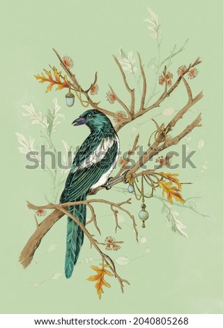 Vintage bird illustration painting. Shabby chic Victorian bird drawing
