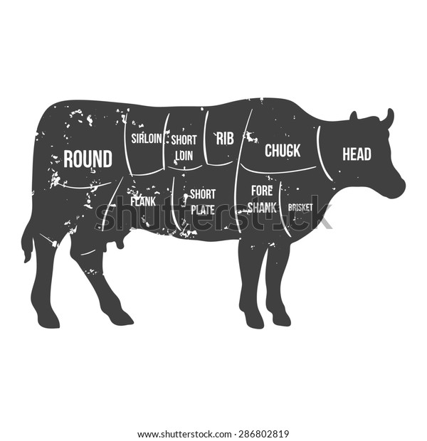 Vintage Butcher Cuts Beef Diagram Stock Illustration 286802819 ...