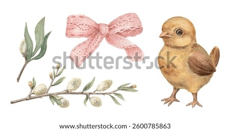 Vintage Easter set with a fluffy yellow chick with a pink ribbon and delicate willow blossoms. Realistic hand drawn watercolor with fine details. Perfect for card design. Ideal for festive decor.