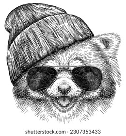 Vintage engraving isolated red panda set  glasses dressed fashion illustration ink costume sketch  Chinese bear background animal silhouette sunglasses hipster hat art  Hand drawn image