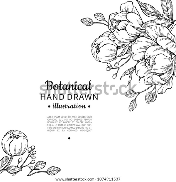 ビンテージフラワーフレーム図面 牡丹 バラ 葉 ベリーのスケッチの組み合わせ 彫刻された植物の花束 手描きの花柄の結婚式の招待状 ラベルテンプレート 記念カード のイラスト素材
