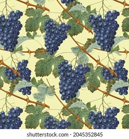 Vintage Grapes And Vines Pattern