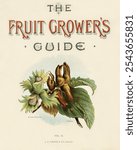 Vintage illustrations of fruits (1891) by John Wright. Vintage art drawing of botanical illustration print, vintage watercolor botanical fruit illustration of fruit book cover.