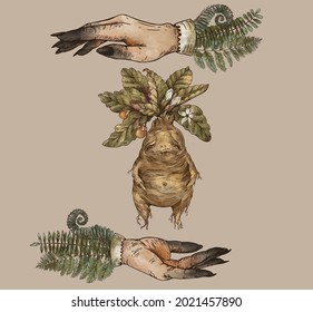 Vintage Mandrake Root With Witch Hands Greeting Card, Witchcraft Mystery Hand-drawn Illustration Isolated On Beige Background.