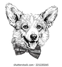 Vintage retro hipster style sketch of funny Pembroke Welsh corgi dog - Powered by Shutterstock