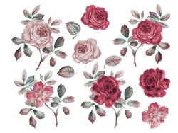 Vintage Roses Set. Watercolor Illustration. Design Elements For Cards, Invitations And Textile. Isolated On White.
